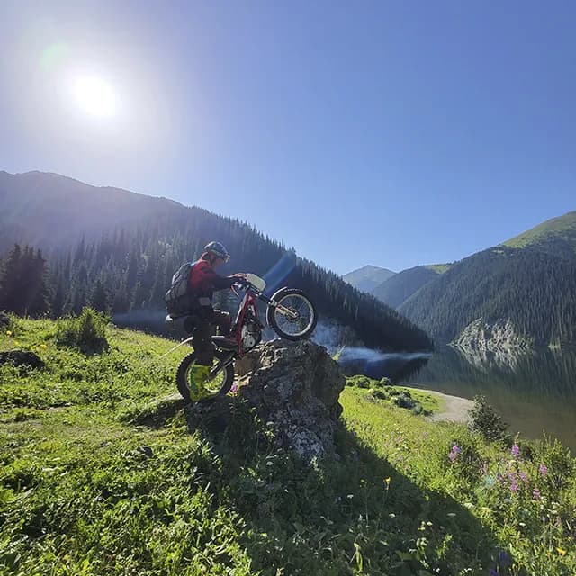 Dense forest trail blocked by fallen giant spruce trees near Kolsay Lakes