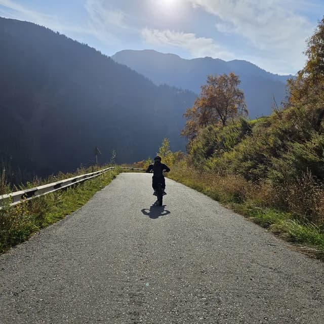 Электробайк на асфальтовой дороге к БАО, по бокам тянь-шаньские ели