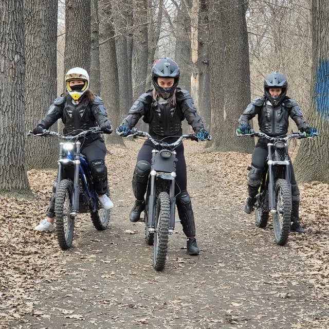 Ровная грунтовая дорожка под старыми деревьями в Роще Баума — безопасно для новичков