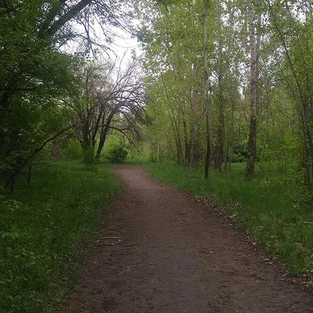 Небольшой тренировочный холм в Роще Баума, электробайк стоит у подножия