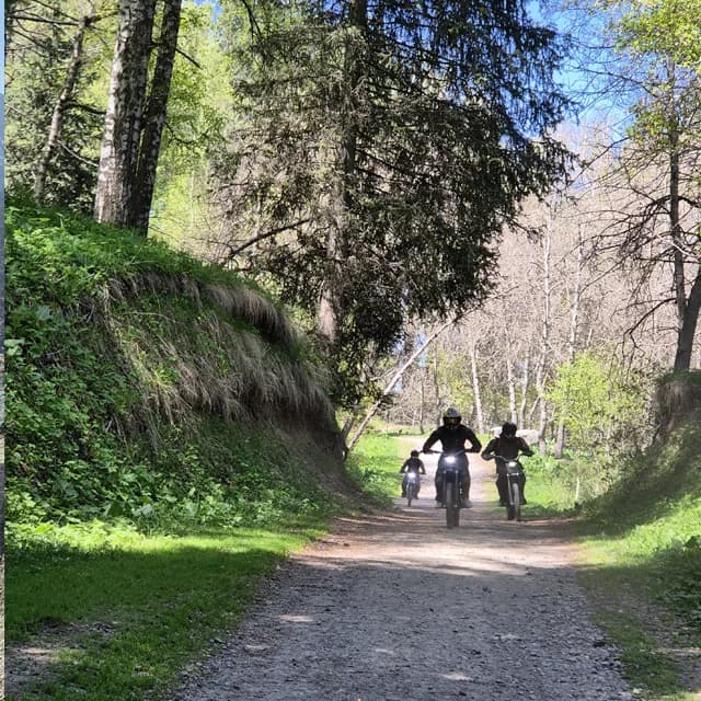 Каменистая лесная тропа через берёзы и ели к плато Кок-Жайляу