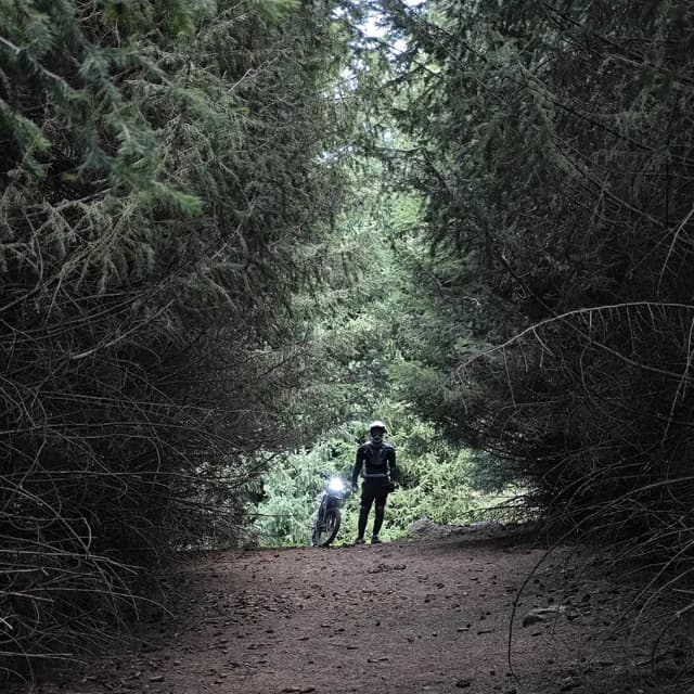 Широкое альпийское плато Кок-Жайляу, внизу далеко видно Алматы