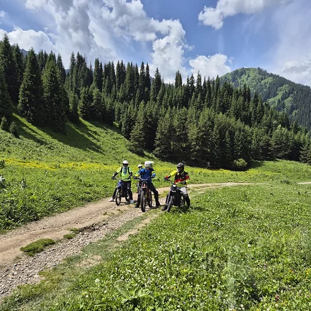 Лесной подъём с камнями и ступенями перед выходом на гребень