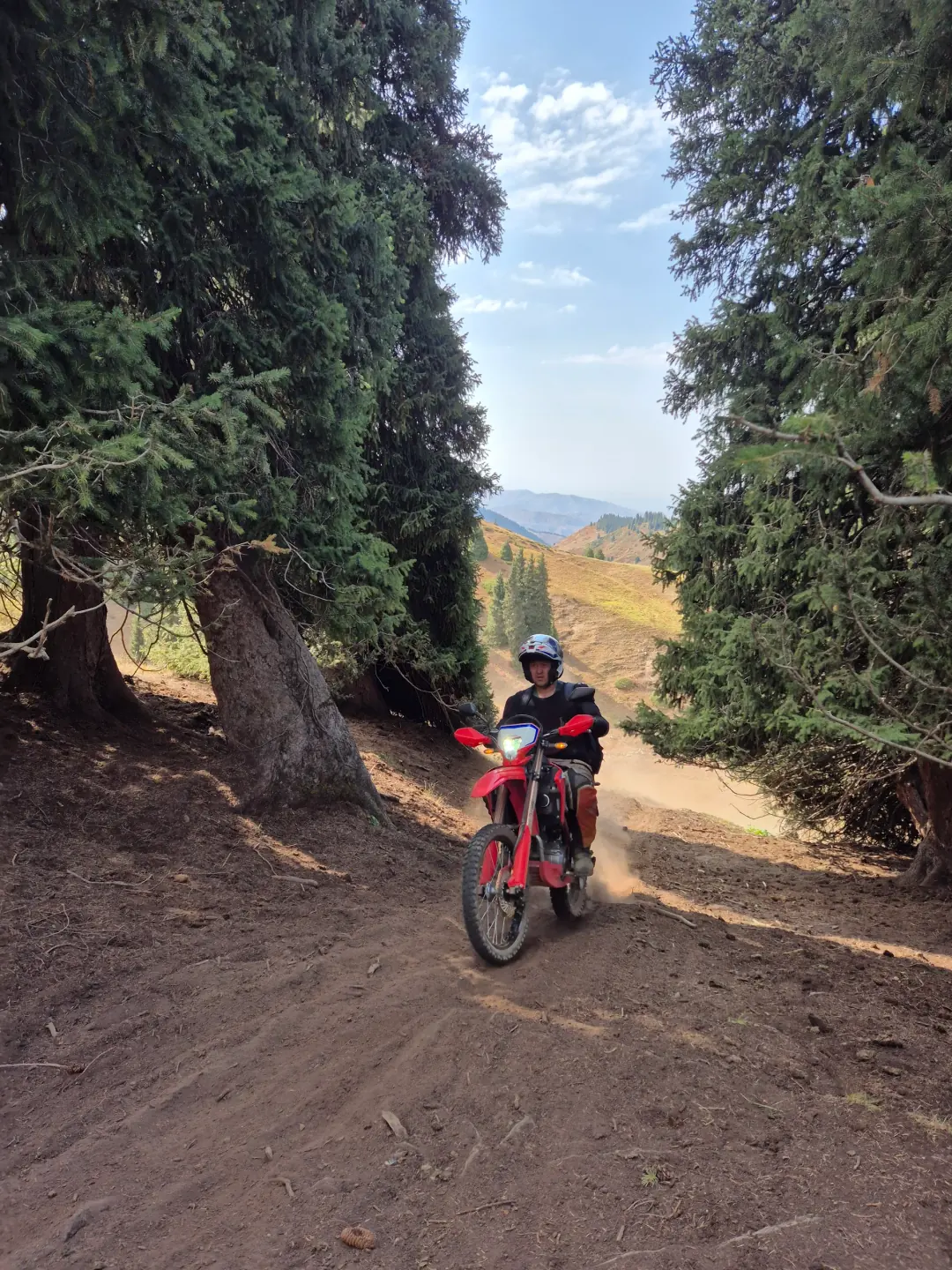 A rider on a red electric dirt bike follows a dirt trail between spruce trees in Prokhodnoye Gorge.