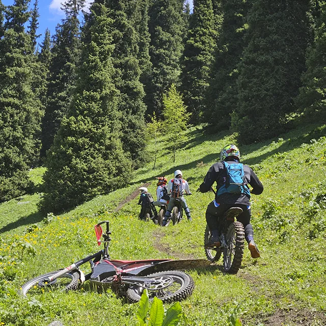 Alpine meadow above treeline on the way to the Kargalinka Balcony viewpoint